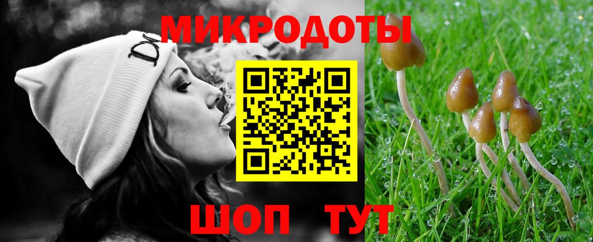 Галлюциногенные грибы Psilocybe  Вход с VPN  наркотики  Галлюциногенные грибы ЛСД  Котовск 